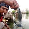 mbahlompong900
