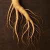 Akar Gingseng