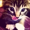 urban_krizy