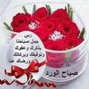 user2532556537993