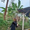 itsme_wantri