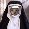 nunkitty0wo