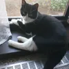virgyvirgy73
