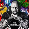 best of joe rogan podcast