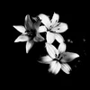 aisha_8021