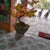 user5436093585040