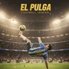 el.pulga135