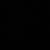 frsrys29