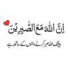 rohankhan24211