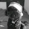 maty6358