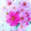 jagdeep.pannu4