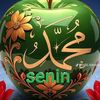 muhamadsenin1