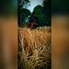 sadhi_xx