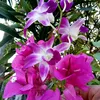 thanhthanh3979397939790
