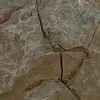 anas_yamal19