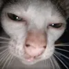 nana_d55