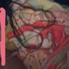 ari_luv243