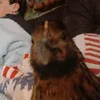 calmdeeredits