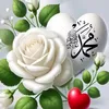 user1384366119088