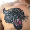 dragan6830