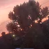 destinyogrady