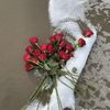 nono56g77..gmailcom