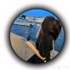 user47316304413695