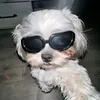 vukaniscool