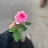 zainab9404
