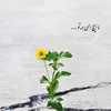Farigakjan
