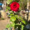 eliza.almanza5