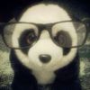 pnadadoll