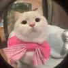 tranvomyduyen_202