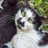 snugle7_