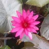 thuy.van5459