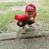 faris.faris371
