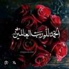 user925601520