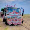 nasirniazi813