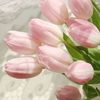 amilian.bridgewat