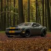 dodge.172