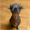 anhtenlateo_