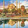tarekkhelifi496