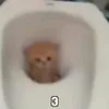 _wody4ka_