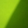 shhau_26
