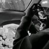 nzannva_
