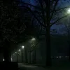 zainthatscap