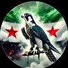 mohammadalhawija1