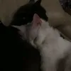 yebishe_19