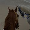 saudi_111111