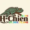 chien_69cm